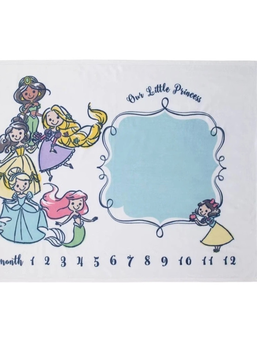Disney Princess Our Little Princess Milestone Baby Blanket